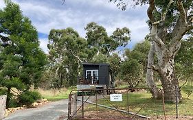 Cherry Tree - Merigan Farm Stay - Bungendore - Mount Fairy